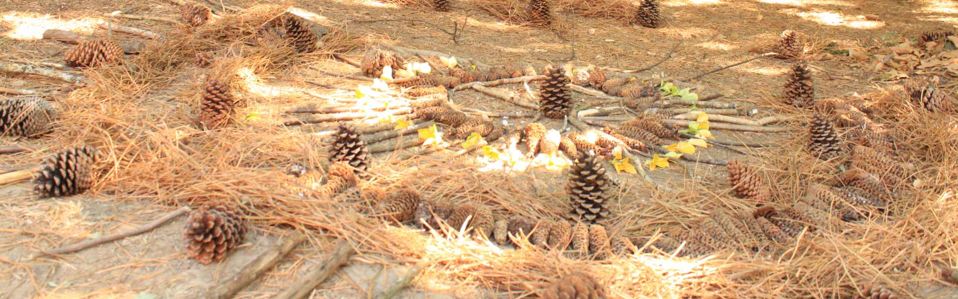 land_art_land_aux_lutins_pedagogique_ecole_morbihan